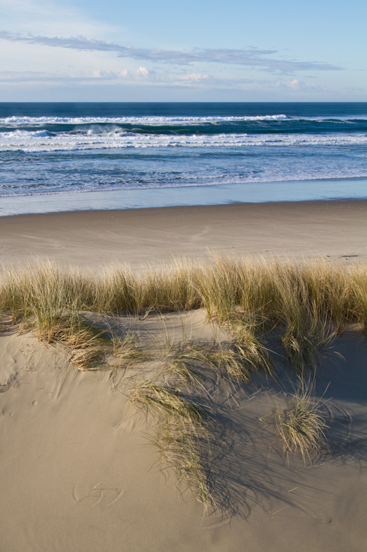 Dunes And Beach Grass